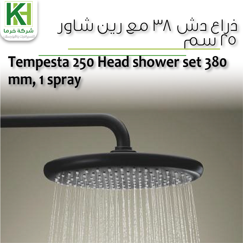 Picture of GROHE Tempesta 250 Head shower set 380 mm, 1 spray